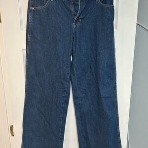 PacSun Dark Blue Women Jeans